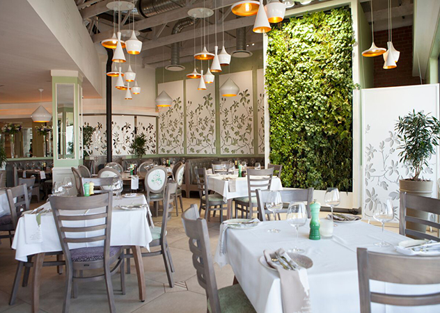 the inside at Cafe del Sol Botanico