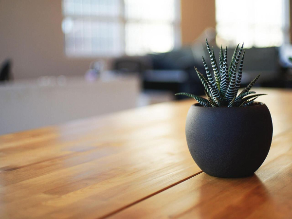 Calabash Lounge & Bar