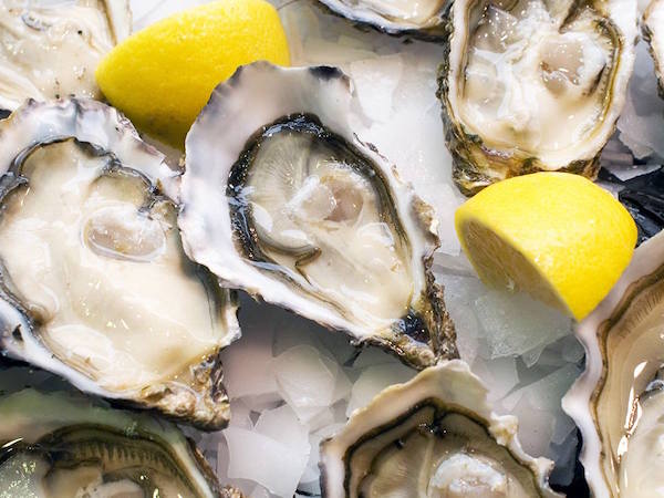 José’s Taverna and Oyster Bar