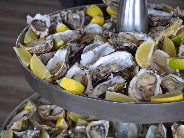 Mussel Cracker (Saldanha)