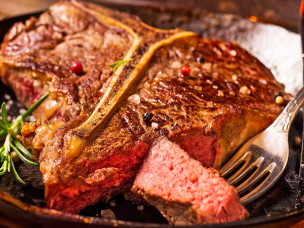 The Laughing Owl at Leribisi Lodge