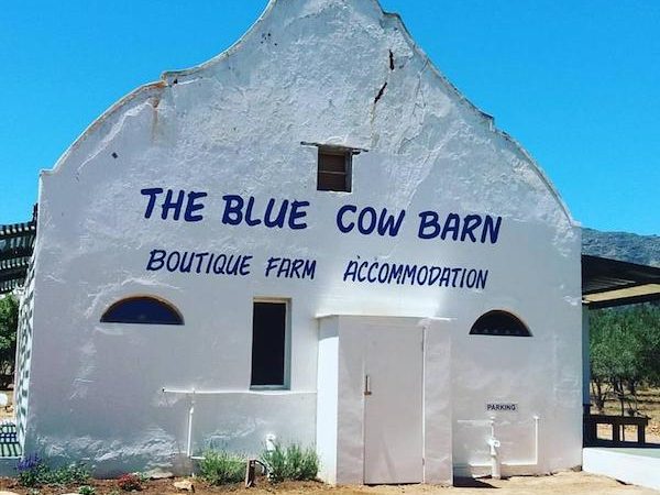 The Blue Cow Restaurant In Barrydale Eatout