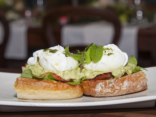 Olive Terrace Bistro