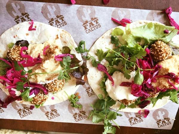 Fat Cactus (Woodstock)