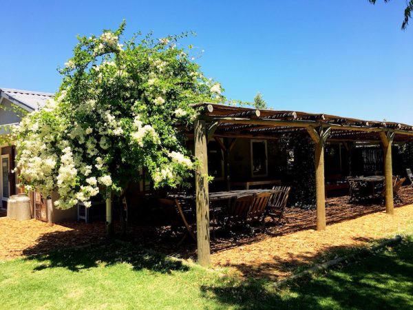 Klein River Cheese Restaurant In Stanford Eatout