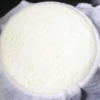Making your own ricotta is actually extremely simple. All you need is a some cheesecloth.