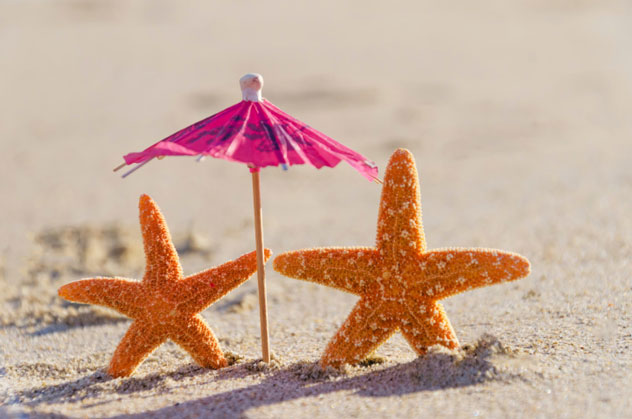 Consider re-gifting your cocktail umbrella to a needy starfish couple, for their beach holidays.