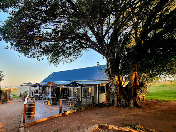The Wild Fig Farm