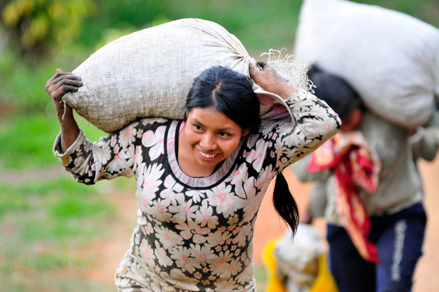 A farm worker carries a sack of beans in Colombia. Photo courtesy of the International Centre for Tropical Agriculture.