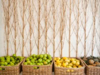 Owner Zane O’Donnell welcomed us into the chic juice-bar with a firm handshake. “Surprisingly, we’re fullest during winter,” explains Zane