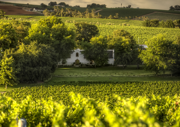 The historic estate, nestled amongst the vines. Photo supplied.