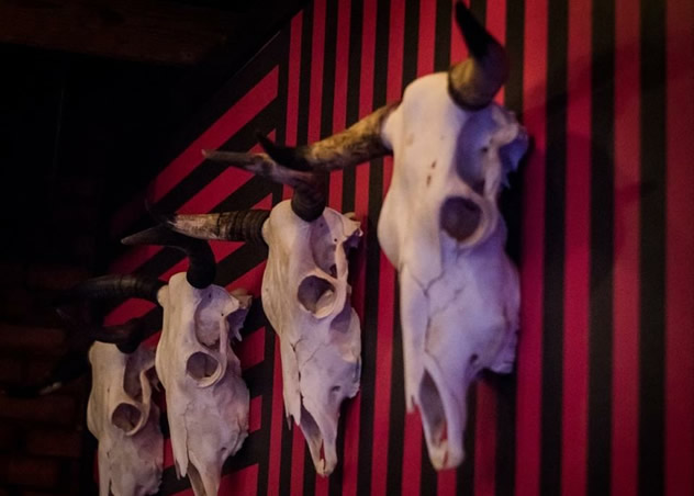 Animal skulls forms part of the decor at El Toro. Photo courtesy of CK Designs.