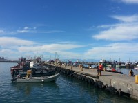 Kalky's view of Kalk Bay harbour