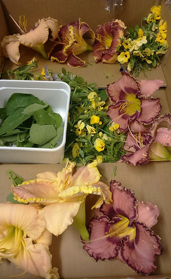 Edible flowers at Muse. Photo courtesy of the restaurant.