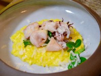 Saffron risotto with squid