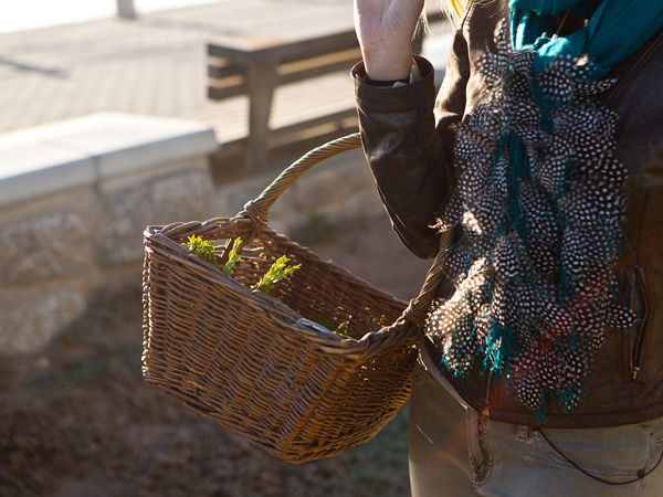 5 great foraging events around the Western Cape