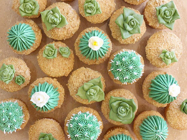 All hail the caketus, the cactus cake taking Instagram by storm