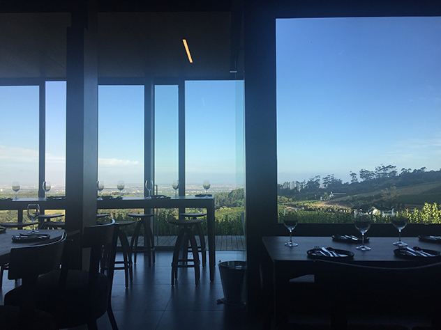 Floor-to-ceiling windows make the most of the view over the Constantia wine valley. Photo by Amy Ebedes.