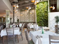 Cafe del Sol Botanico