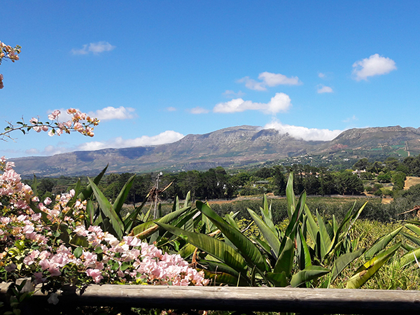 The View @ The Chart Farm