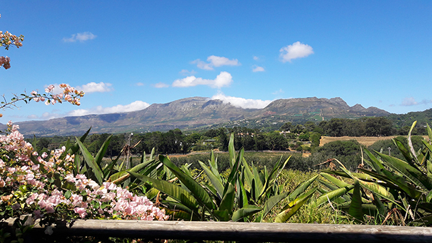 Southern Suburbs institution The View at Chart Farm in Wynberg ...