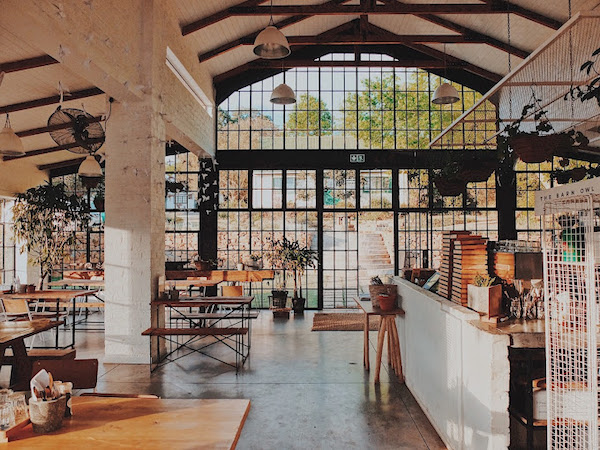 The Barn Owl (Howick)