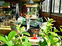 Truffles on the Park