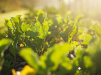 The 2020 guide to zeroing down on waste