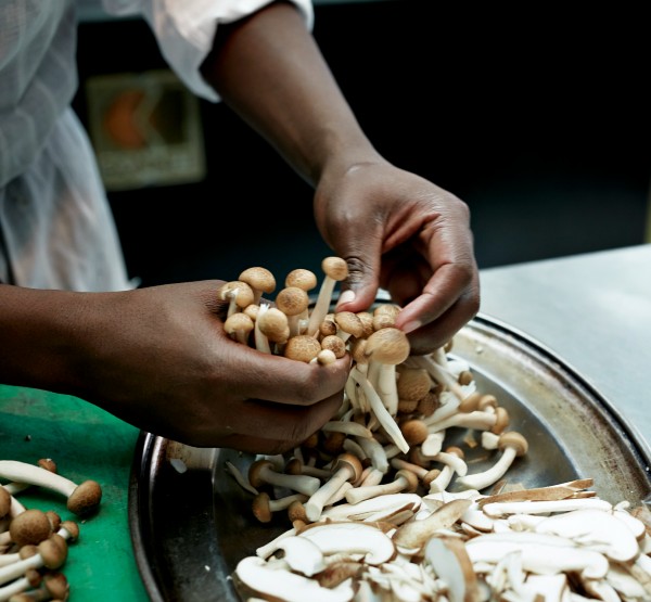 chef holding mushrooms