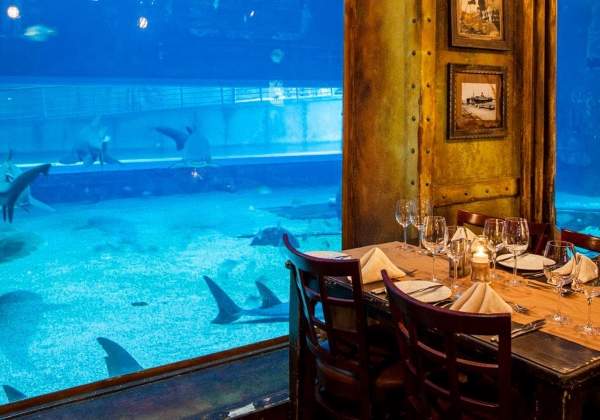 Review: enjoy seafood platters and shark-watching at Durban’s Cargo Hold Restaurant