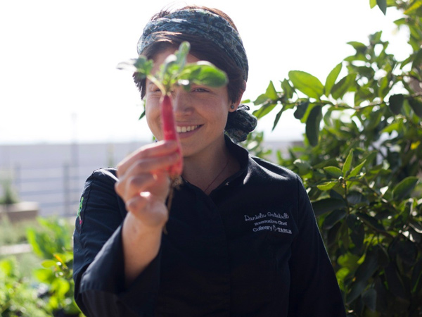 The culinary table - featured image