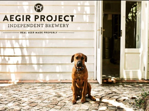 Outside at Aegir Project - featured image