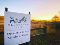 Outside at Blueberry Cafe - featured image