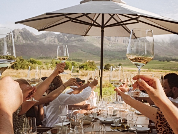 Discover Stellenzicht: embracing sustainability and balance in winemaking