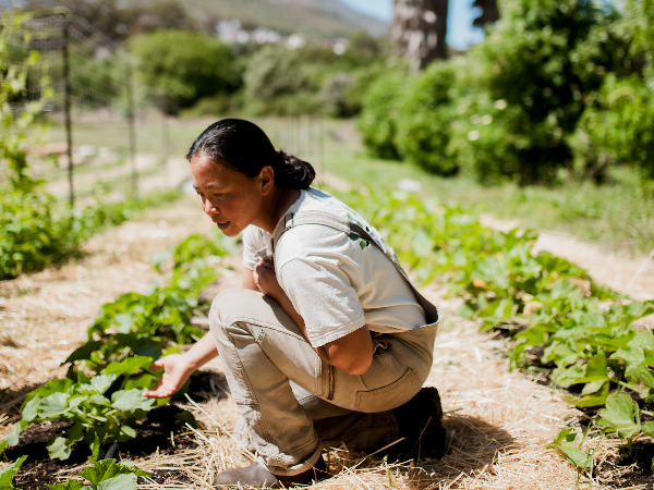 Magazine teaser: the story of Iming Lin – one of SA’s most unique restaurant suppliers