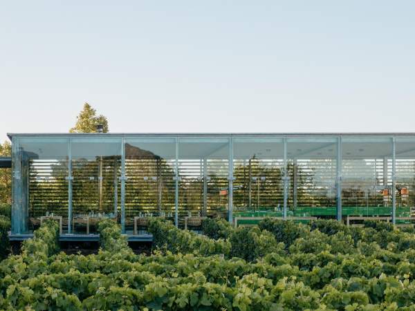 The Tasting Room at Babylonstoren