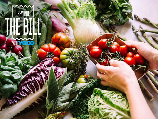 Is sustainable business truly good business for restaurant owners?