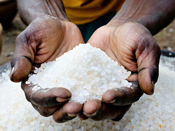 Season to taste: SA’s sacred salt – harvested in Limpopo