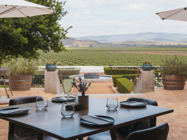 Kapokbos: The culinary gem in the heart of Bonnievale