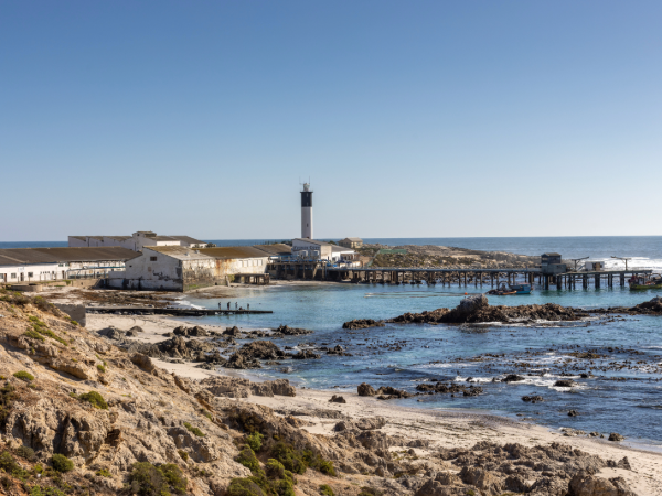 Fryer’s Cove: Where the ocean meets vineyard