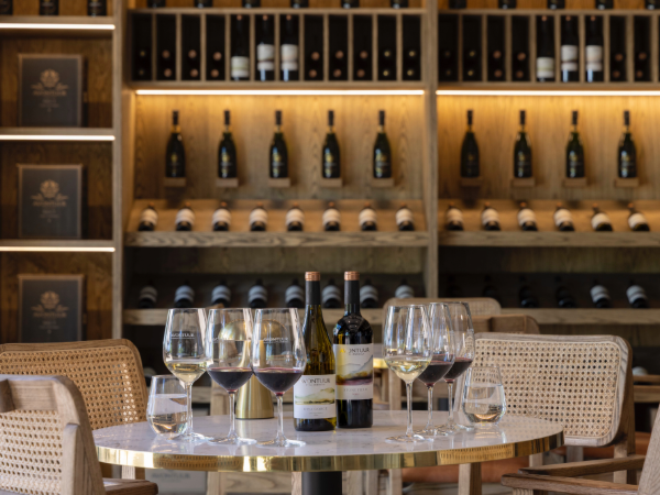 Avontuur: The Helderberg hidden gem crafting exceptional wines