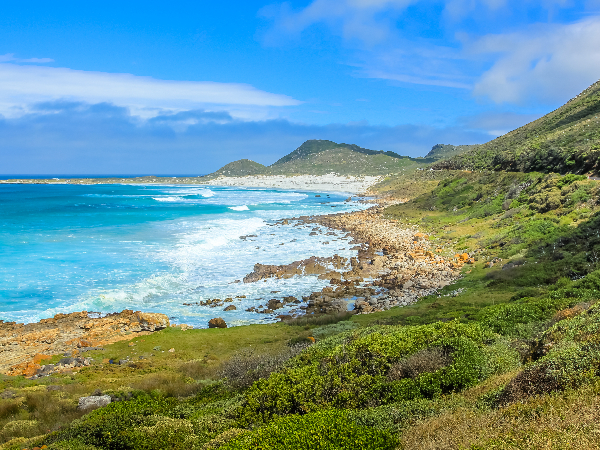 How a kelp-infused cocktail captures Scarborough’s coastal landscape in a glass