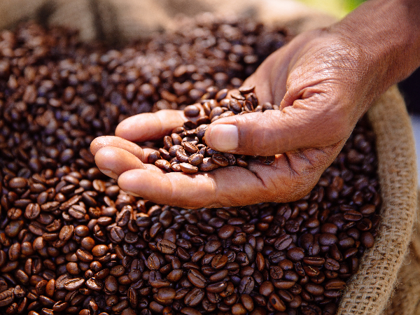 Africa’s contribution to global coffee culture