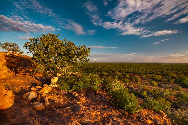 mpumalanga