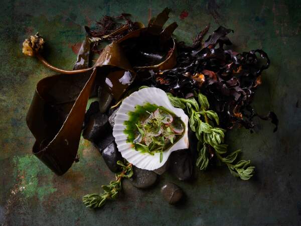 The three restaurants setting the standards for sustainability in SA