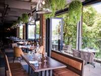 CHEF'S TABLE